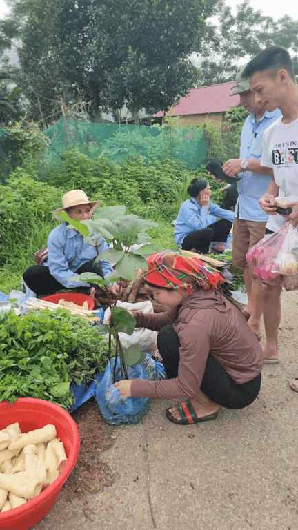 Nông sản độc lạ ở chợ phiên vùng cao: Không chỉ có măng khô, cua đá, đuông cọ... mà còn có cả "vàng đen" Tây Bắc- Ảnh 12. Nông sản độc lạ ở chợ phiên vùng cao: Không chỉ có măng khô, cua đá, đuông cọ... mà còn có cả "vàng đen" Tây Bắc- Ảnh 12.