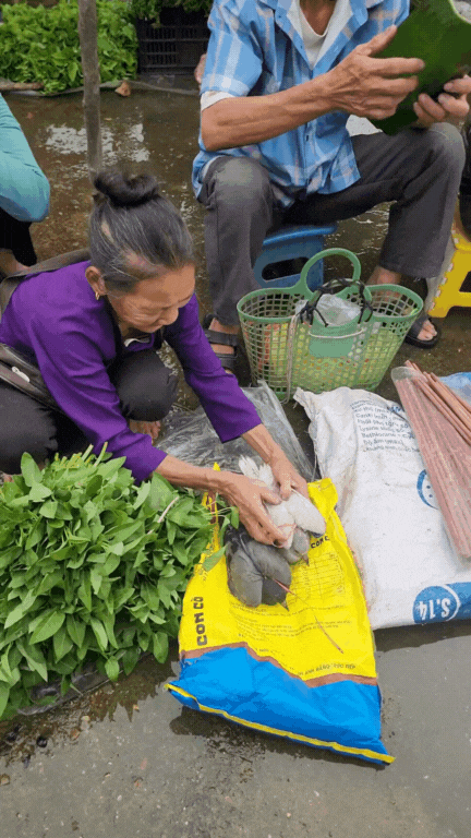 Nông sản độc lạ ở chợ phiên vùng cao: Không chỉ có măng khô, cua đá, đuông cọ... mà còn có cả "vàng đen" Tây Bắc- Ảnh 11. Nông sản độc lạ ở chợ phiên vùng cao: Không chỉ có măng khô, cua đá, đuông cọ... mà còn có cả "vàng đen" Tây Bắc- Ảnh 11.