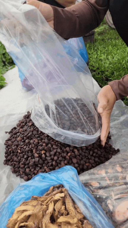 Nông sản độc lạ ở chợ phiên vùng cao: Không chỉ có măng khô, cua đá, đuông cọ... mà còn có cả "vàng đen" Tây Bắc- Ảnh 18. Nông sản độc lạ ở chợ phiên vùng cao: Không chỉ có măng khô, cua đá, đuông cọ... mà còn có cả "vàng đen" Tây Bắc- Ảnh 18.