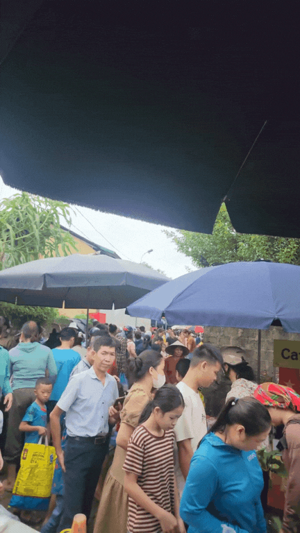 Nông sản độc lạ ở chợ phiên vùng cao: Không chỉ có măng khô, cua đá, đuông cọ... mà còn có cả "vàng đen" Tây Bắc- Ảnh 1. Nông sản độc lạ ở chợ phiên vùng cao: Không chỉ có măng khô, cua đá, đuông cọ... mà còn có cả "vàng đen" Tây Bắc- Ảnh 1.