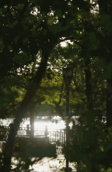 Sống một mình giữa ngôi nhà 350m2 đầy hơi ấm cùng Einstein, nữ nghệ sĩ 35 tuổi nhắn nhủ: Tự do không phải là bỏ đi mọi ràng buộc mà là...- Ảnh 2. Sống một mình giữa ngôi nhà 350m2 đầy hơi ấm cùng Einstein, nữ nghệ sĩ 35 tuổi nhắn nhủ: Tự do không phải là bỏ đi mọi ràng buộc mà là...- Ảnh 2.