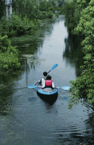 Sống một mình giữa ngôi nhà 350m2 đầy hơi ấm cùng Einstein, nữ nghệ sĩ 35 tuổi nhắn nhủ: Tự do không phải là bỏ đi mọi ràng buộc mà là...- Ảnh 15. Sống một mình giữa ngôi nhà 350m2 đầy hơi ấm cùng Einstein, nữ nghệ sĩ 35 tuổi nhắn nhủ: Tự do không phải là bỏ đi mọi ràng buộc mà là...- Ảnh 15.