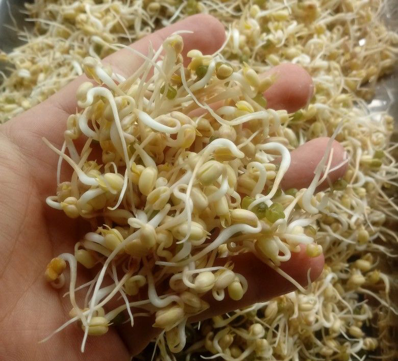 Người Việt hay ăn loại rau trắng nõn này nhưng không hay chứa cả "mỏ" đạm, chống ung thư, là báu vật cho "chuyện ấy" - Ảnh 1.