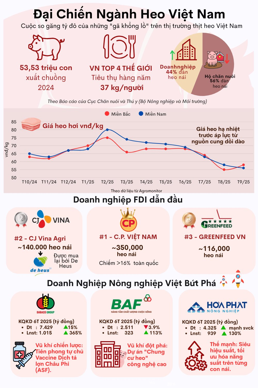 Đại chiến ngành heo tỷ đô: CP, CJ đối đầu với tham vọng lớn chưa từng có của Hòa Phát, Dabaco, BAF- Ảnh 2.