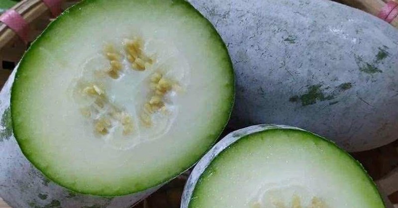 Nhiều người không ngờ: 3 loại rau củ rẻ bèo ở chợ Việt nhưng bổ phổi, giải độc cực mạnh vào mùa thu- Ảnh 1. Nhiều người không ngờ: 3 loại rau củ rẻ bèo ở chợ Việt nhưng bổ phổi, giải độc cực mạnh vào mùa thu- Ảnh 1.