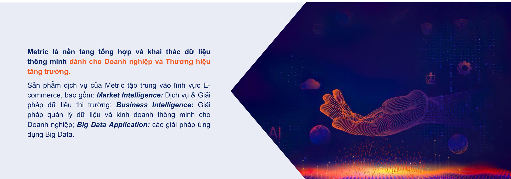Metric chuyển mình: Từ phân tích TMĐT đến nền tảng trí tuệ dữ liệu doanh nghiệp - Ảnh 1.