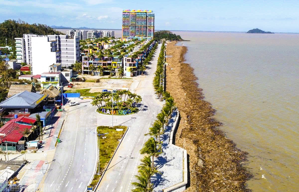 - Ảnh 1. - Ảnh 1.