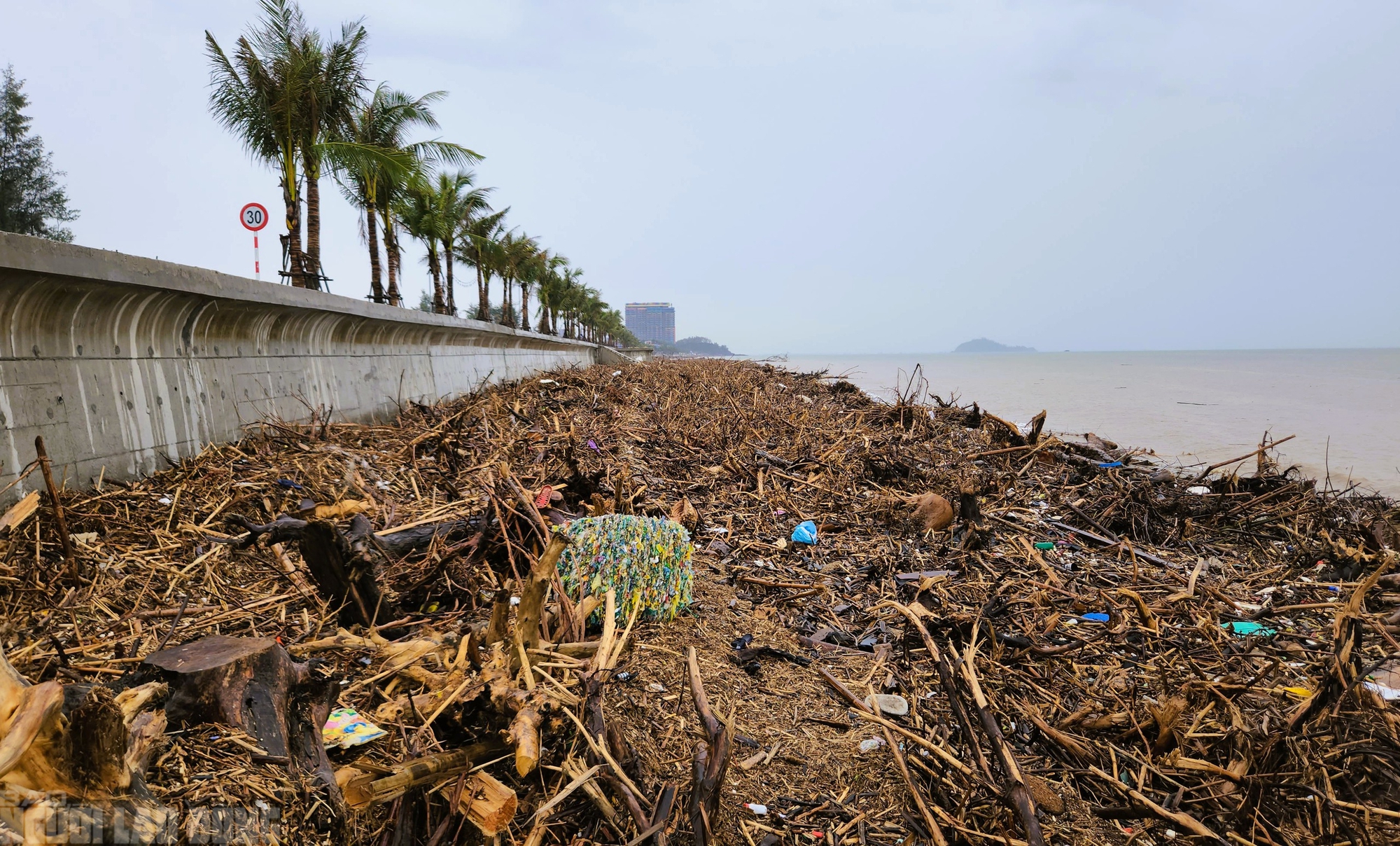 - Ảnh 2. - Ảnh 2.