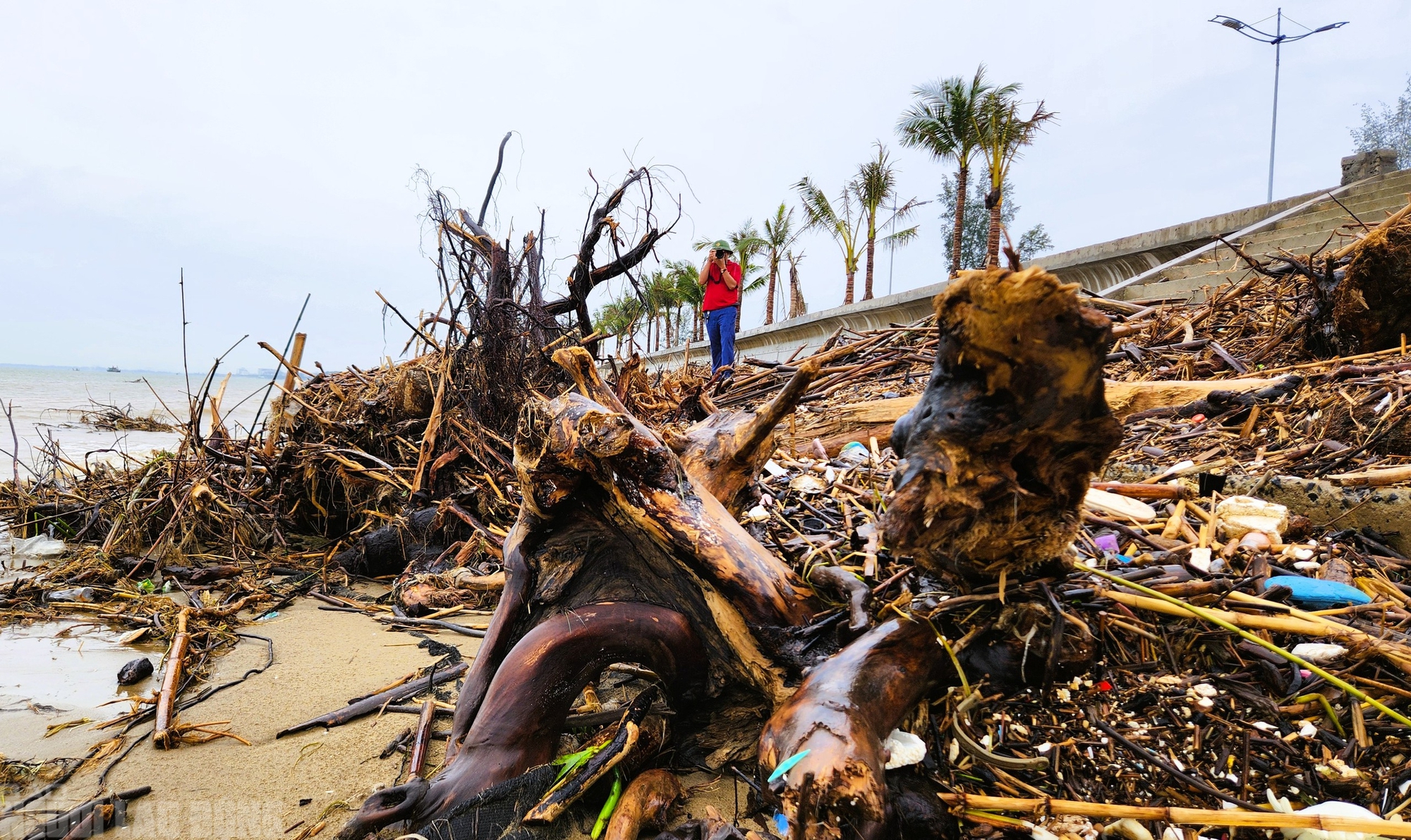 - Ảnh 3. - Ảnh 3.