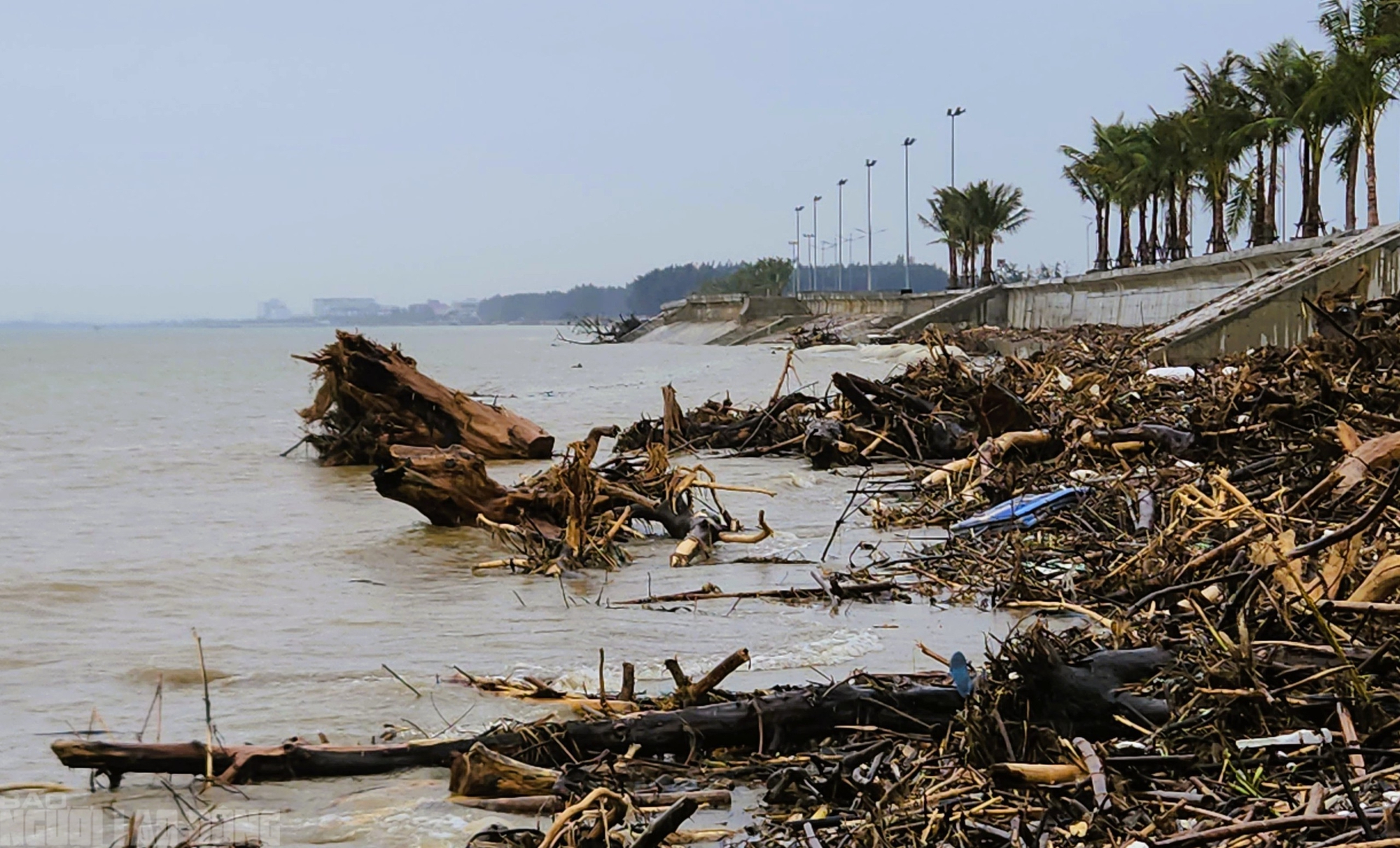 - Ảnh 4. - Ảnh 4.