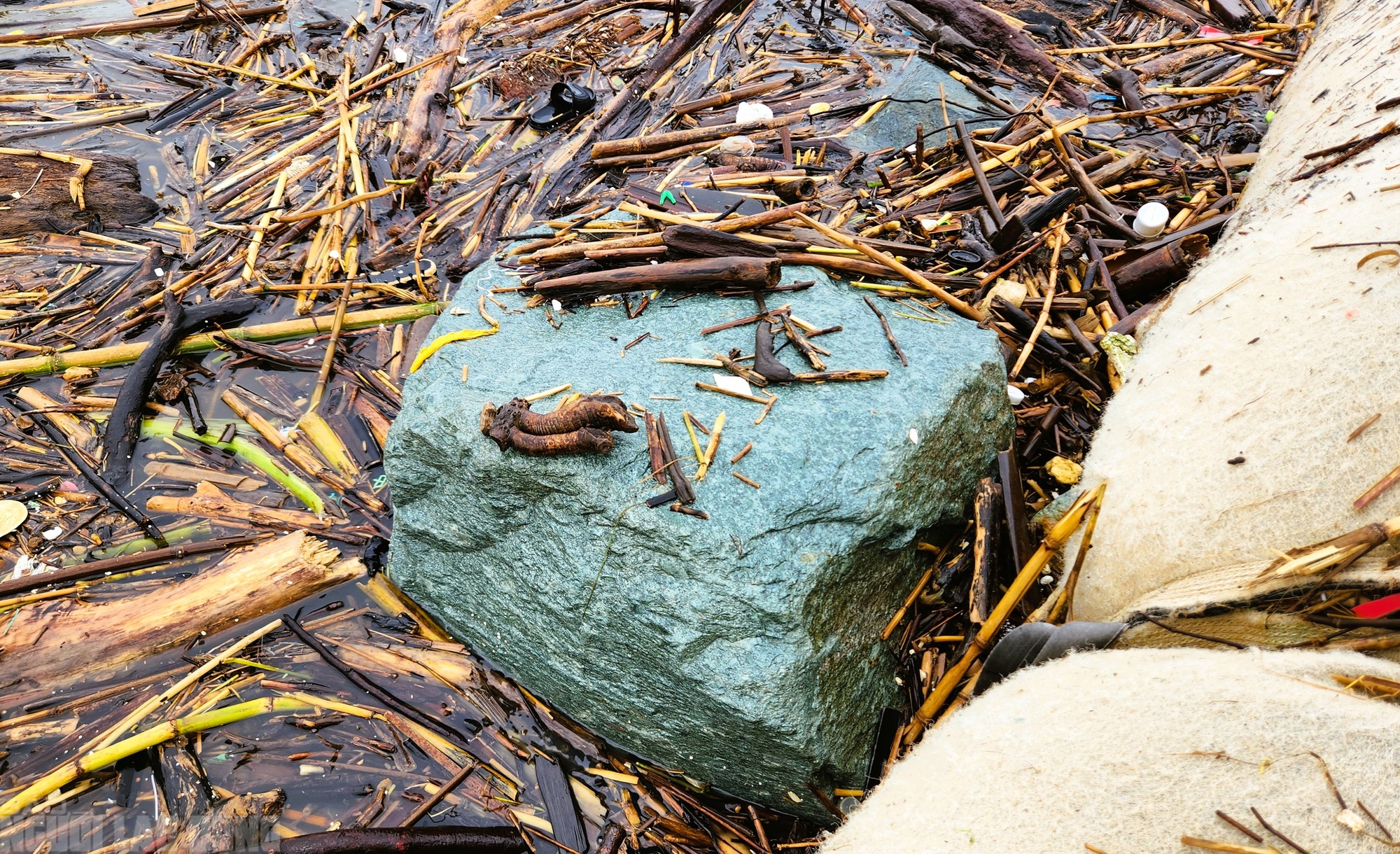 - Ảnh 10. - Ảnh 10.