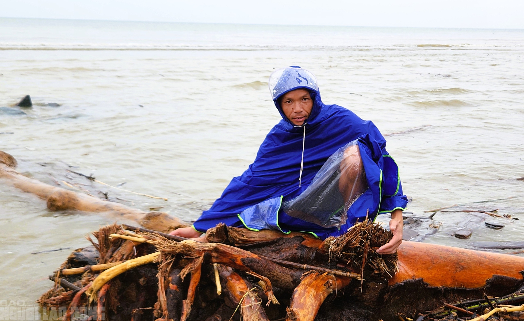 - Ảnh 11. - Ảnh 11.