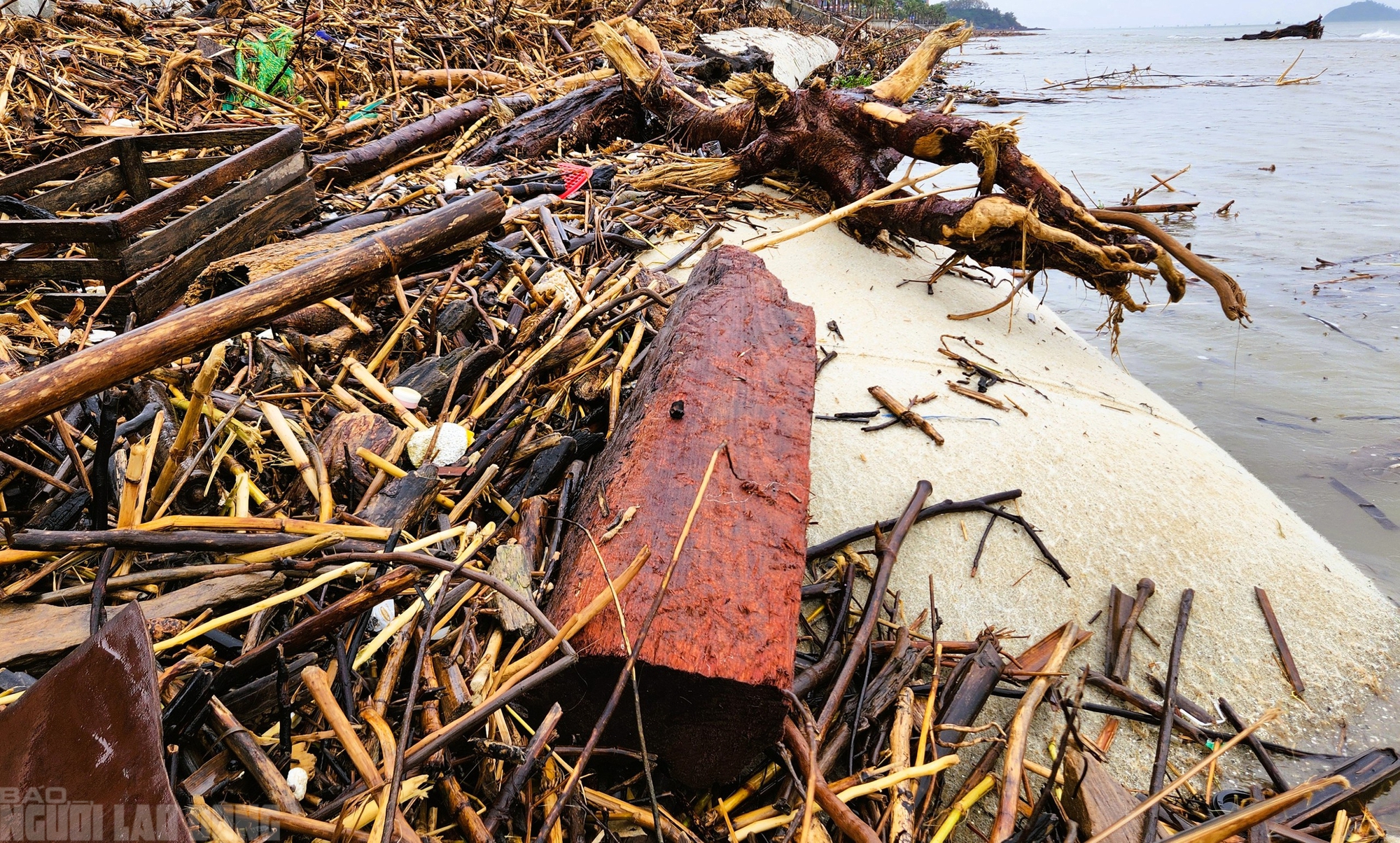 - Ảnh 7. - Ảnh 7.