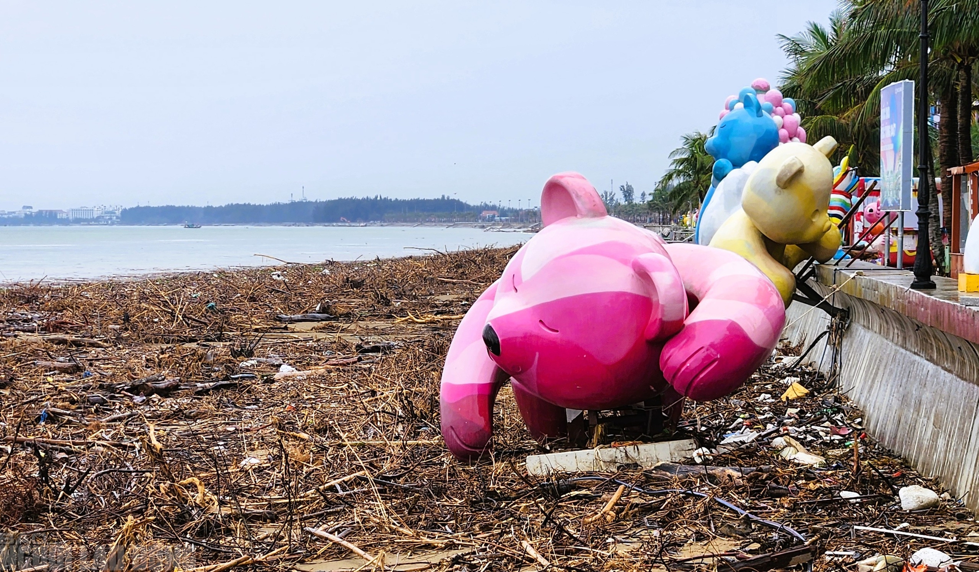 - Ảnh 12. - Ảnh 12.