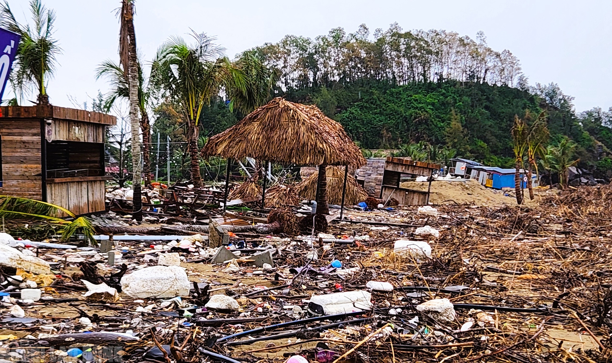 - Ảnh 13. - Ảnh 13.