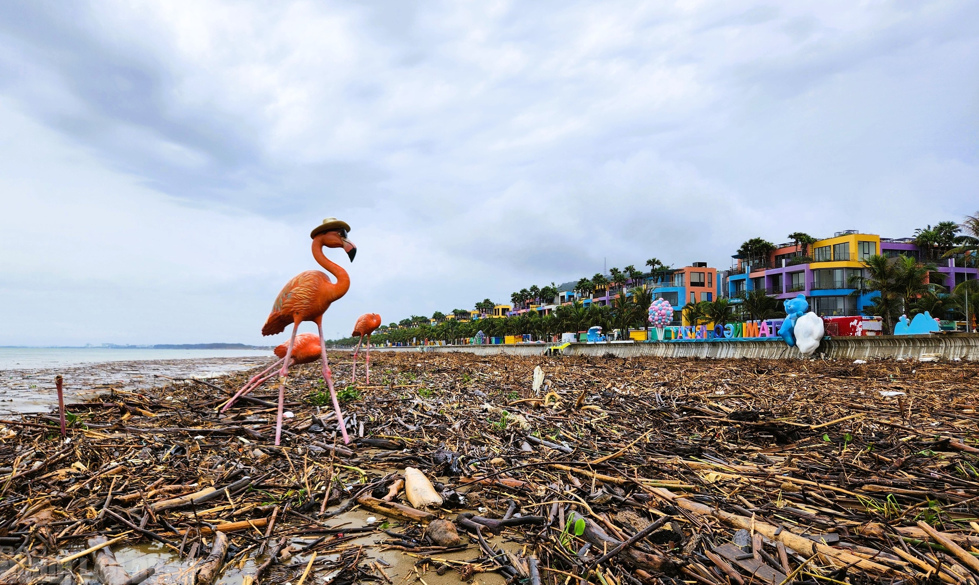 - Ảnh 14. - Ảnh 14.