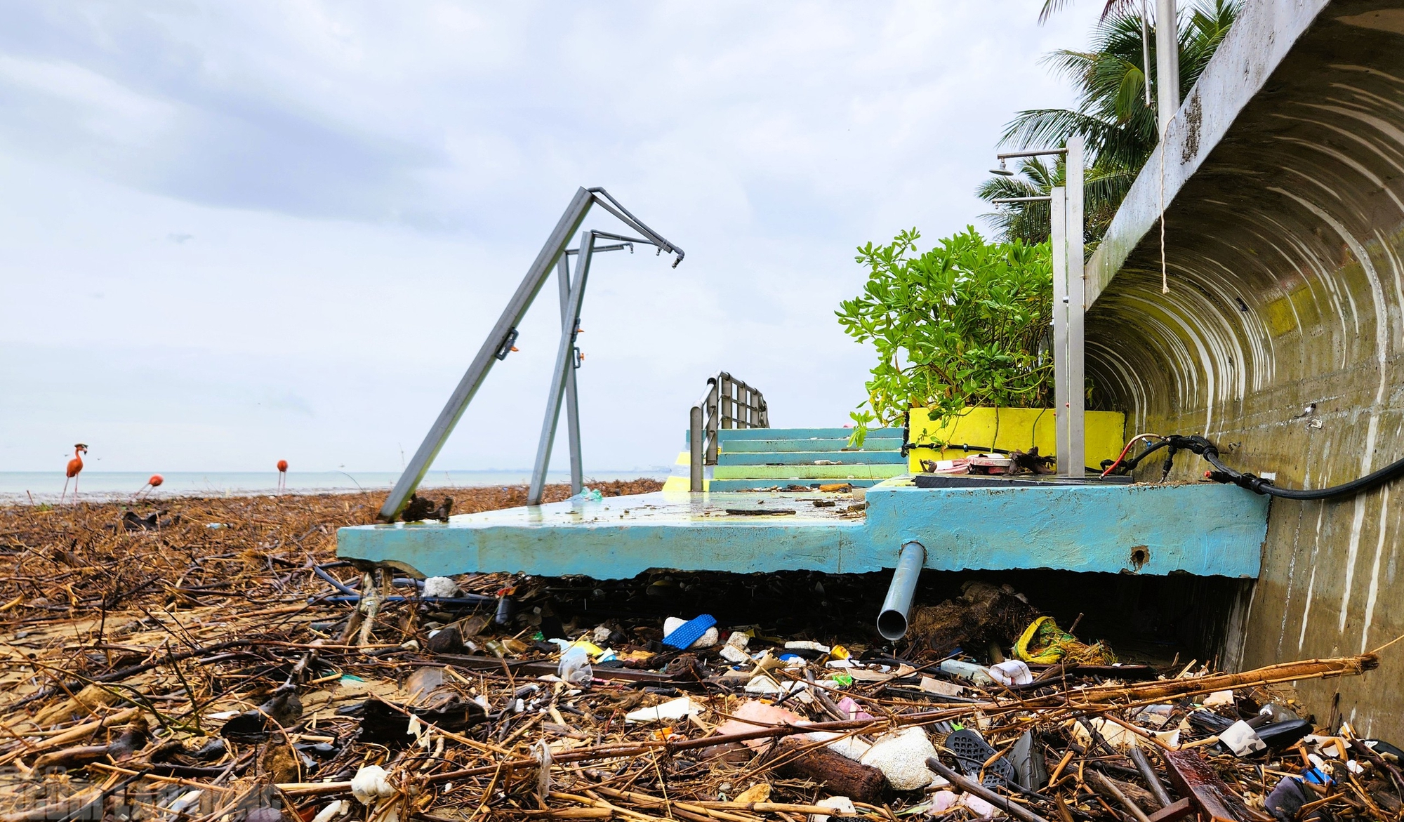 - Ảnh 15. - Ảnh 15.