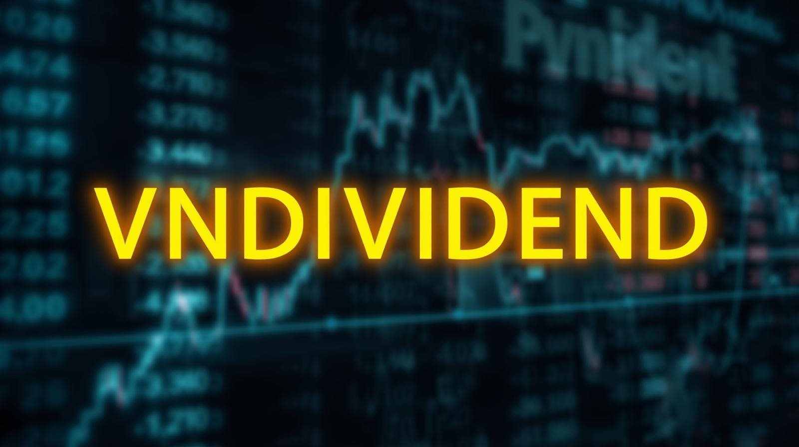 Lần đầu tiên chứng khoán Việt Nam có bộ chỉ số gồm các cổ phiếu tăng trưởng chi trả cổ tức VNDIVIDEND- Ảnh 1.