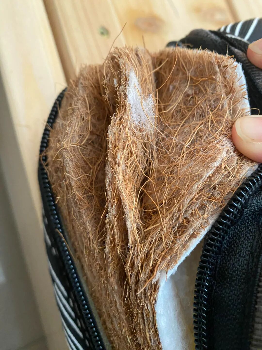 5 loại đệm người trong nghề liệt vào "danh sách đen": ĐỪNG MUA! - Ảnh 2. 5 loại đệm người trong nghề liệt vào "danh sách đen": ĐỪNG MUA! - Ảnh 2.