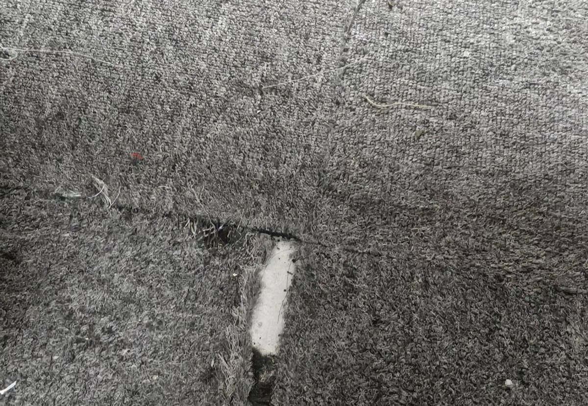 6 thứ giá rẻ ham mua là hại thân, khuyên bạn đừng dại dột! 6 thứ giá rẻ ham mua là hại thân, khuyên bạn đừng dại dột!