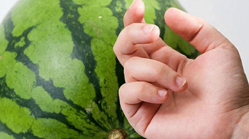 Nhờ lão nông trồng dưa hấu nhắc nhở, tôi vội mách lại cho người nhà, kể từ đó đều mua được loại ngon 10 quả như 1 Nhờ lão nông trồng dưa hấu nhắc nhở, tôi vội mách lại cho người nhà, kể từ đó đều mua được loại ngon 10 quả như 1