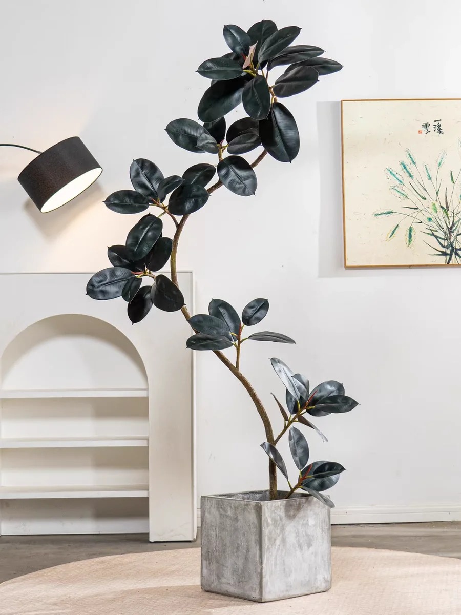 “Trong nhà có một cây, cả nhà ấm no": 5 loại cây nội thất đẹp, dễ sống, tăng sinh khí cho tổ ấm- Ảnh 7.