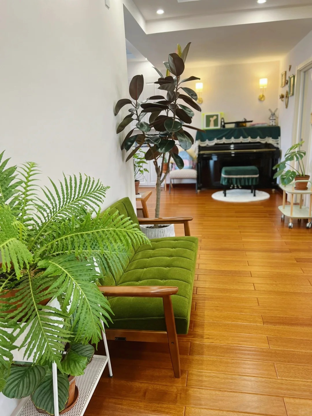 “Trong nhà có một cây, cả nhà ấm no": 5 loại cây nội thất đẹp, dễ sống, tăng sinh khí cho tổ ấm- Ảnh 6.