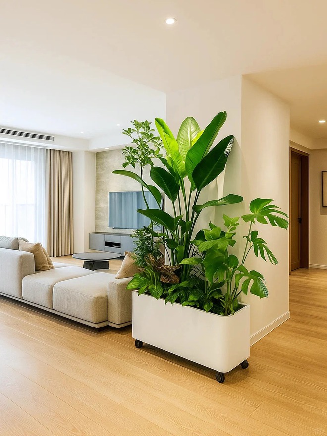 Bày đúng vài món này trong nhà: Vượng khí kéo tới, tiền tự chảy vào túi- Ảnh 4. Bày đúng vài món này trong nhà: Vượng khí kéo tới, tiền tự chảy vào túi- Ảnh 4.