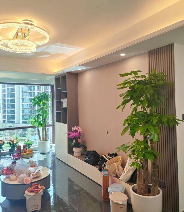 “Trong nhà có một cây, cả nhà ấm no": 5 loại cây nội thất đẹp, dễ sống, tăng sinh khí cho tổ ấm- Ảnh 1.