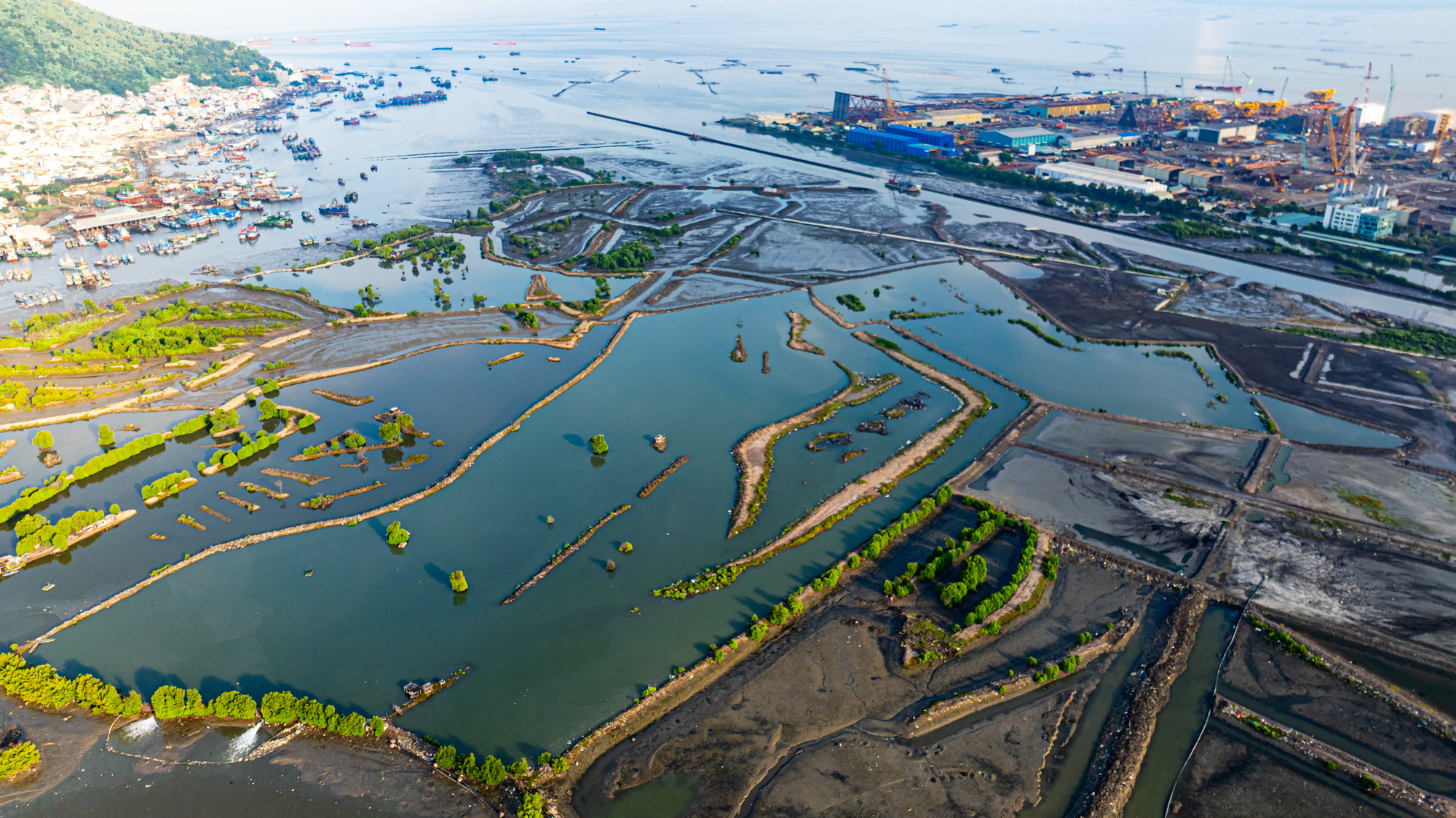 Toàn cảnh khu đất hiếm hoi rộng đến 110 ha còn sót lại ở trung tâm Vũng Tàu, mới được Sun Group đề xuất làm khu đô thị - Ảnh 5.