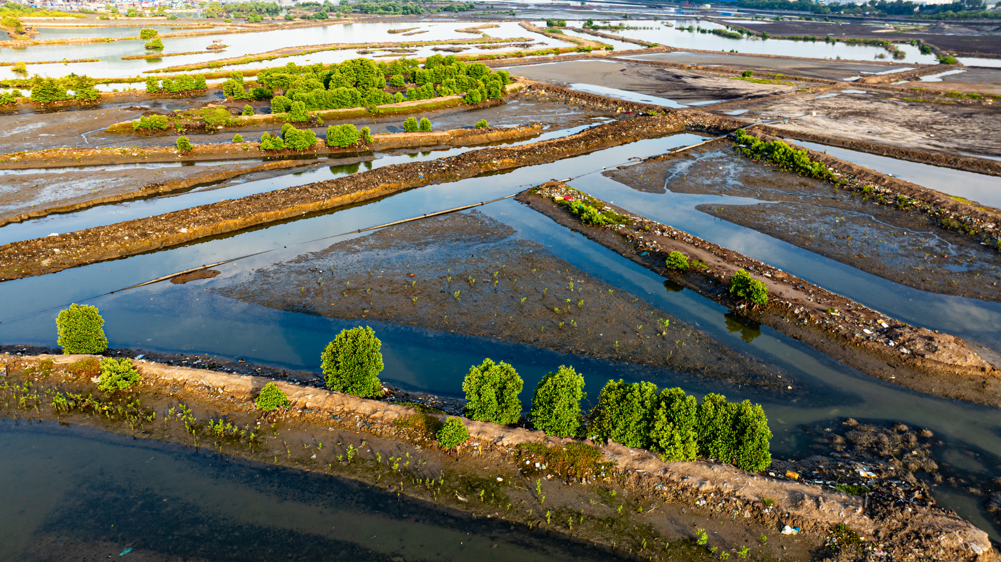 Toàn cảnh khu đất hiếm hoi rộng đến 110 ha còn sót lại ở trung tâm Vũng Tàu, mới được Sun Group đề xuất làm khu đô thị - Ảnh 8.