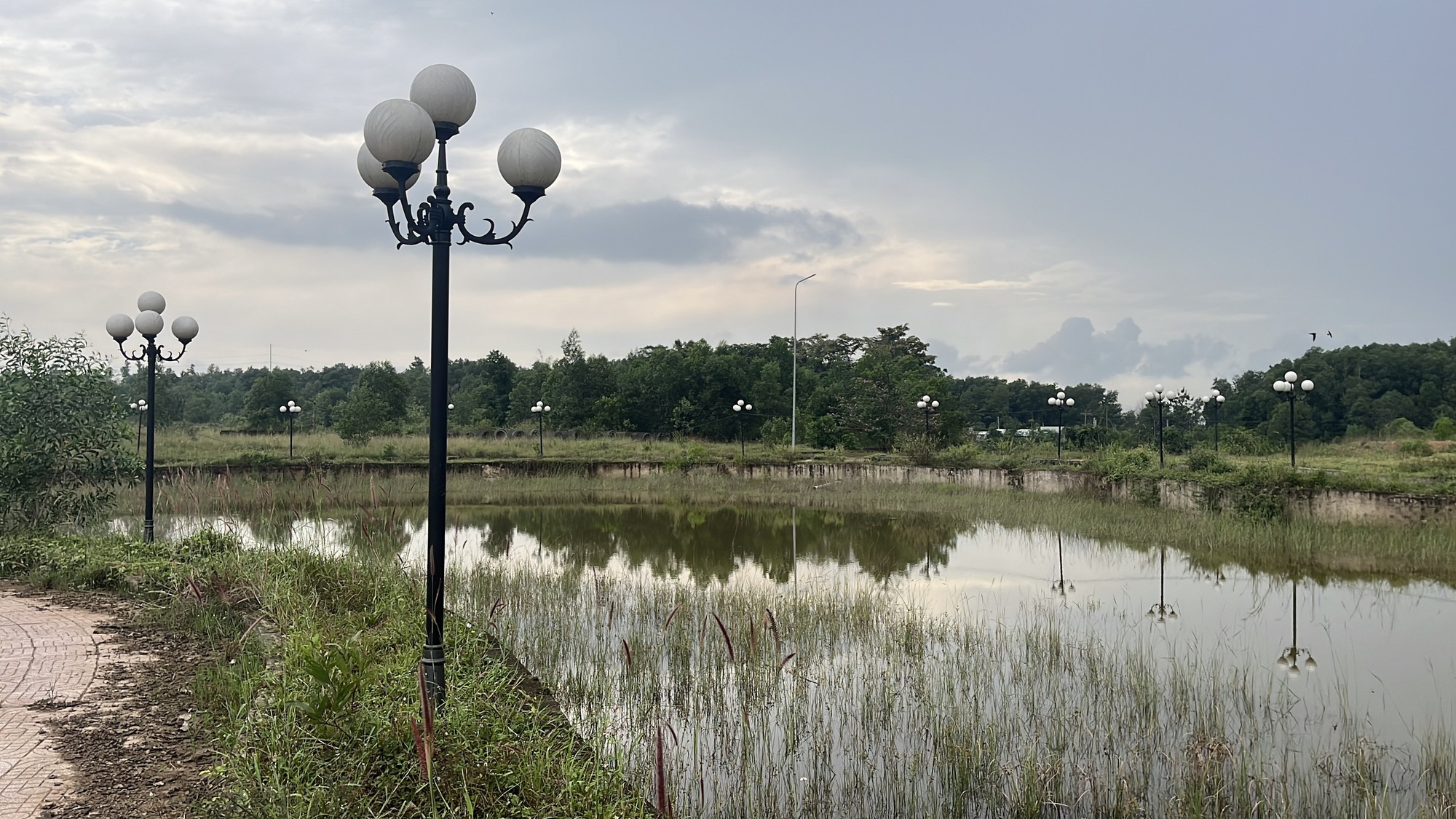 Khu dân cư PNR Estella ở Đồng Nai bị kết luận sai phạm nghiêm trọng - Ảnh 6.