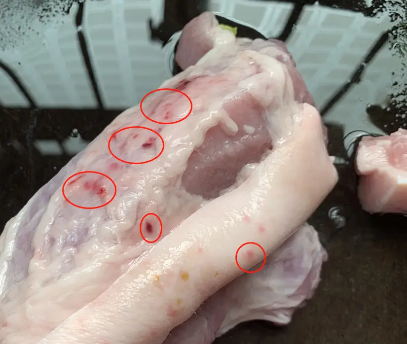 4 loại thịt đáng lẽ phải BỊ CẤM từ lâu, vậy mà nhiều người vẫn ăn- Ảnh 3. 4 loại thịt đáng lẽ phải BỊ CẤM từ lâu, vậy mà nhiều người vẫn ăn- Ảnh 3.