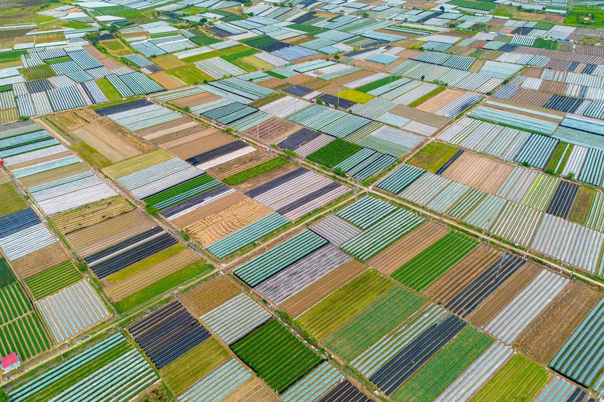 Thay bạn đi xem khu đất rộng hơn phường Hoàn Kiếm, sẽ được Sun Group đầu tư 15.000 tỷ ở điểm nóng Mê Linh - Ảnh 12.