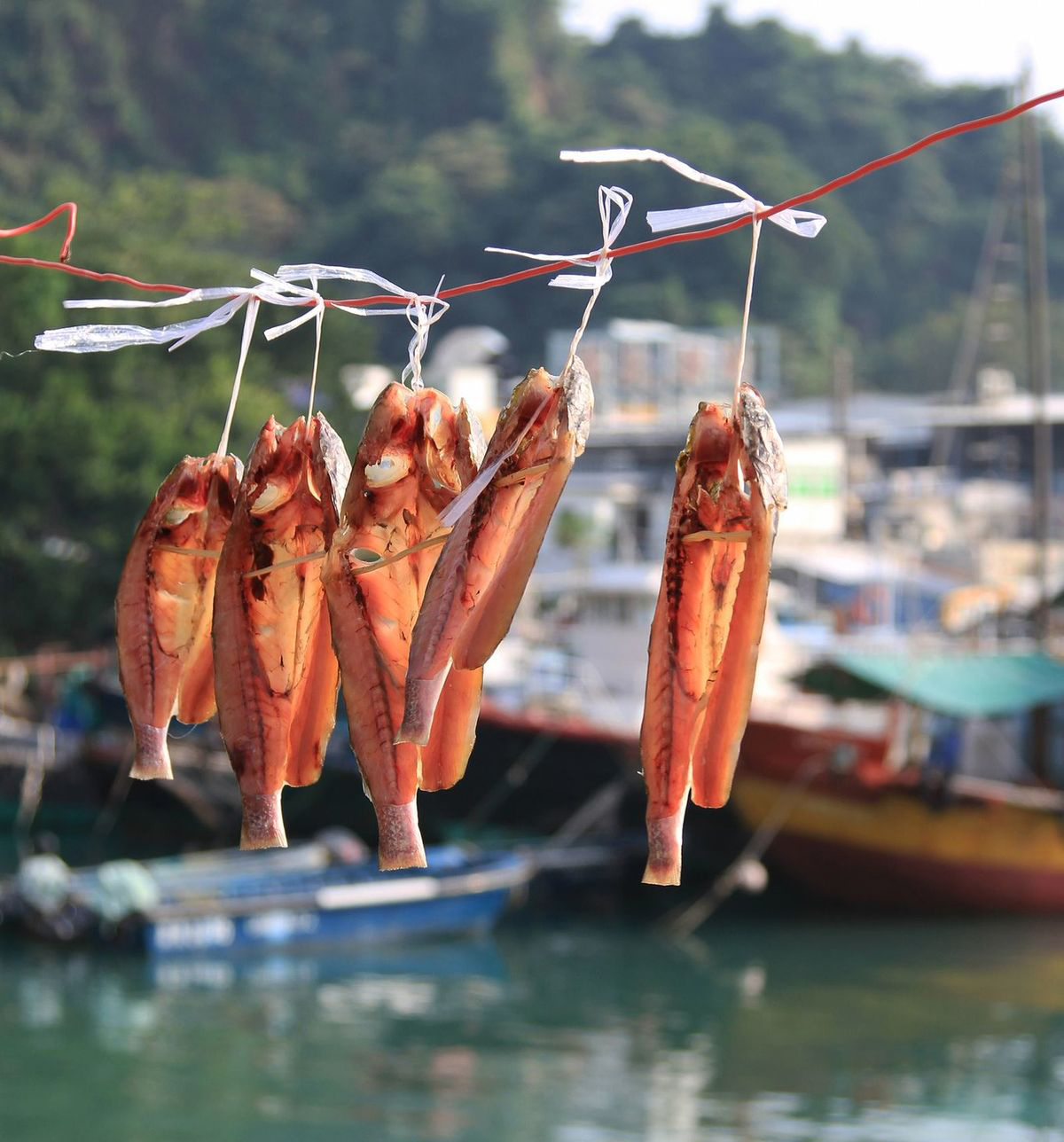 4 mẹo ăn cá không để thất thoát dinh dưỡng, ngon miệng lại tránh nuốt "mầm bệnh" vào thân - Ảnh 3.
