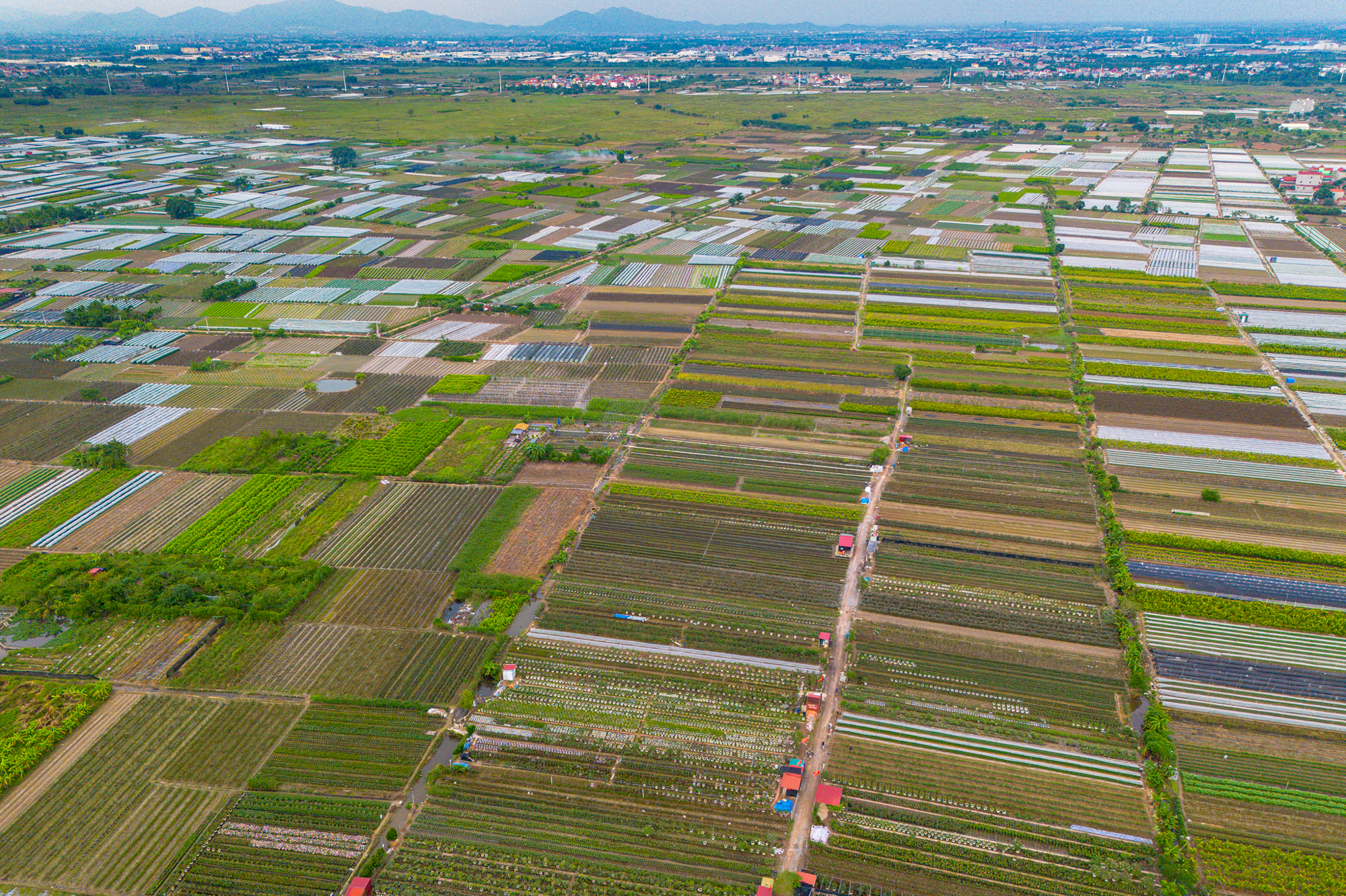 Thay bạn đi xem khu đất rộng hơn phường Hoàn Kiếm, sẽ được Sun Group đầu tư 15.000 tỷ ở điểm nóng Mê Linh - Ảnh 5.