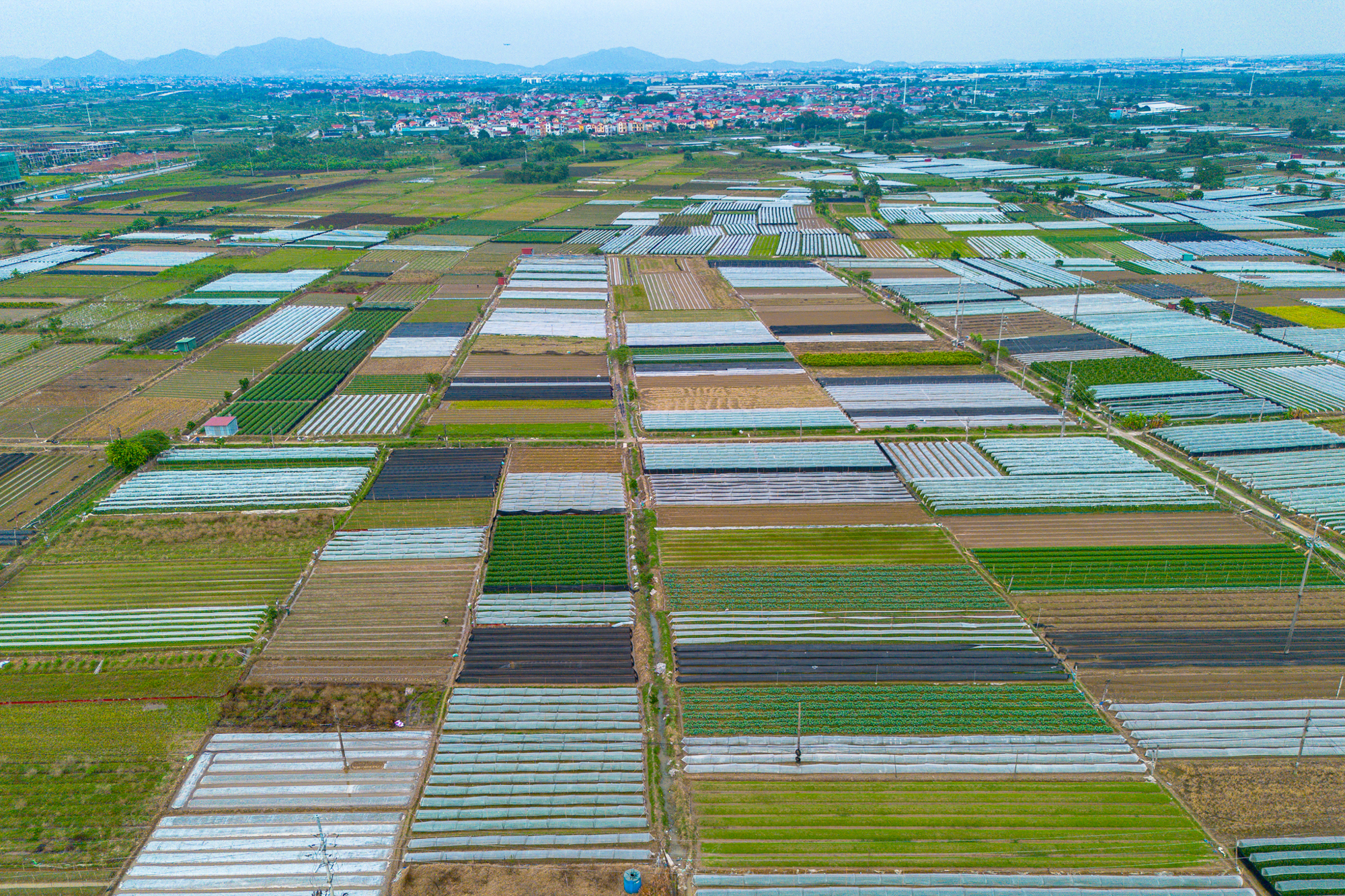 Thay bạn đi xem khu đất rộng hơn phường Hoàn Kiếm, sẽ được Sun Group đầu tư 15.000 tỷ ở điểm nóng Mê Linh - Ảnh 7.