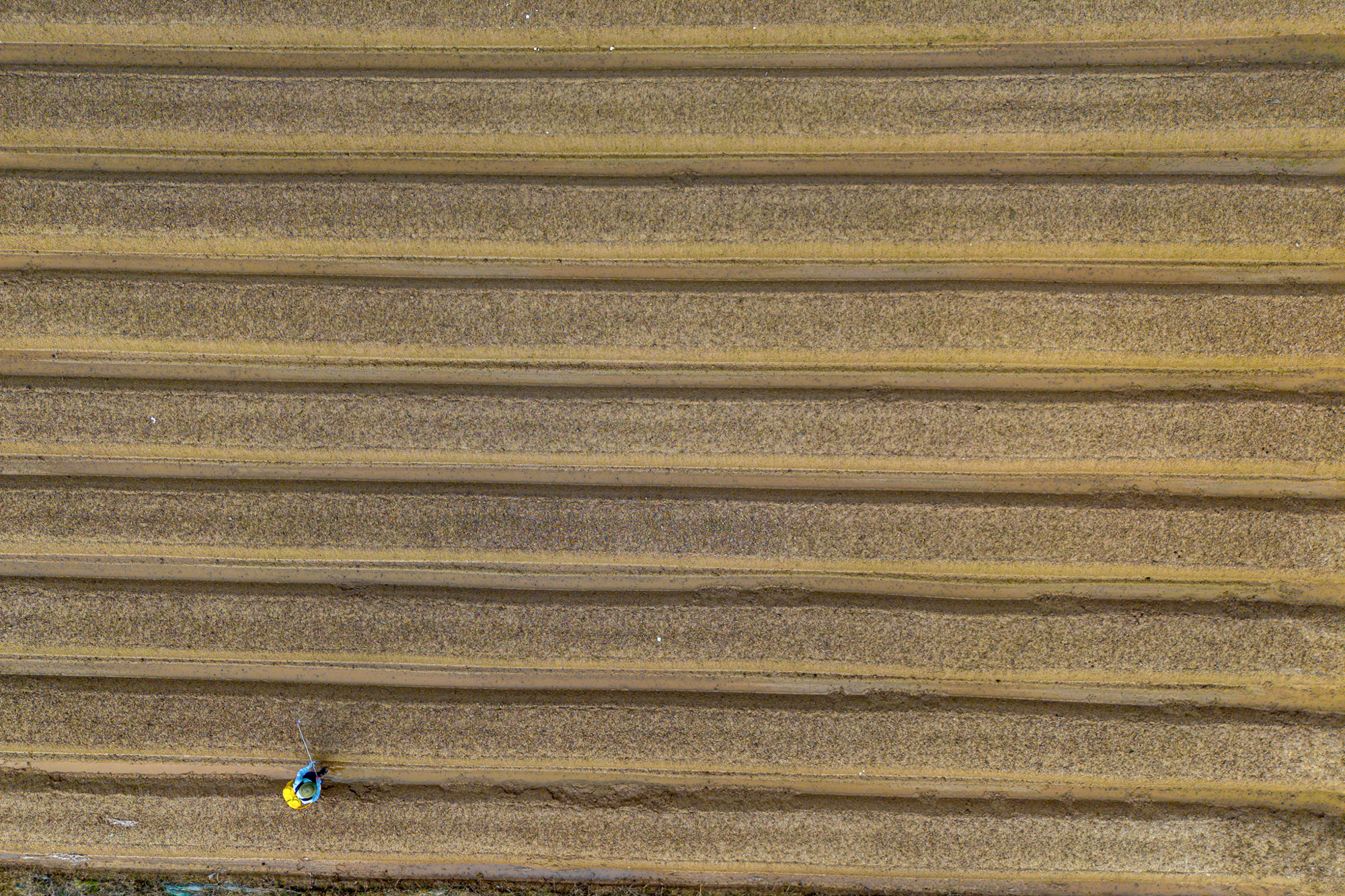 Thay bạn đi xem khu đất rộng hơn phường Hoàn Kiếm, sẽ được Sun Group đầu tư 15.000 tỷ ở điểm nóng Mê Linh - Ảnh 9.