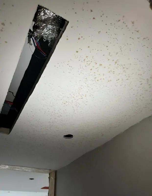 Đẹp trên mạng nhưng thảm họa ngoài đời: 6 thiết kế khiến cả nhà tôi hối hận sau vài tháng ở- Ảnh 5. Đẹp trên mạng nhưng thảm họa ngoài đời: 6 thiết kế khiến cả nhà tôi hối hận sau vài tháng ở- Ảnh 5.