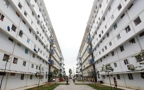 Không có hợp đồng lao động có được mua nhà ở xã hội? - Ảnh 1.