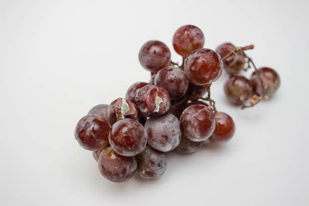 4 loại quả đáng lẽ phải bị cấm từ lâu, chủ hàng hoa quả chẳng dám ăn vậy mà nhiều người vẫn vô tư mua- Ảnh 4. 4 loại quả đáng lẽ phải bị cấm từ lâu, chủ hàng hoa quả chẳng dám ăn vậy mà nhiều người vẫn vô tư mua- Ảnh 4.