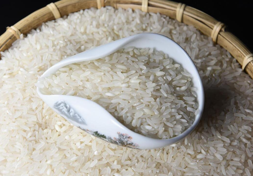 3 loại gạo đáng lẽ phải BỊ CẤM từ lâu, vậy mà nhiều người vẫn ăn- Ảnh 3.