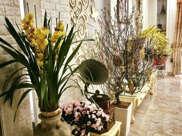 Nơi dưỡng già của NSND Hồng Vân- Ảnh 10. Nơi dưỡng già của NSND Hồng Vân- Ảnh 10.