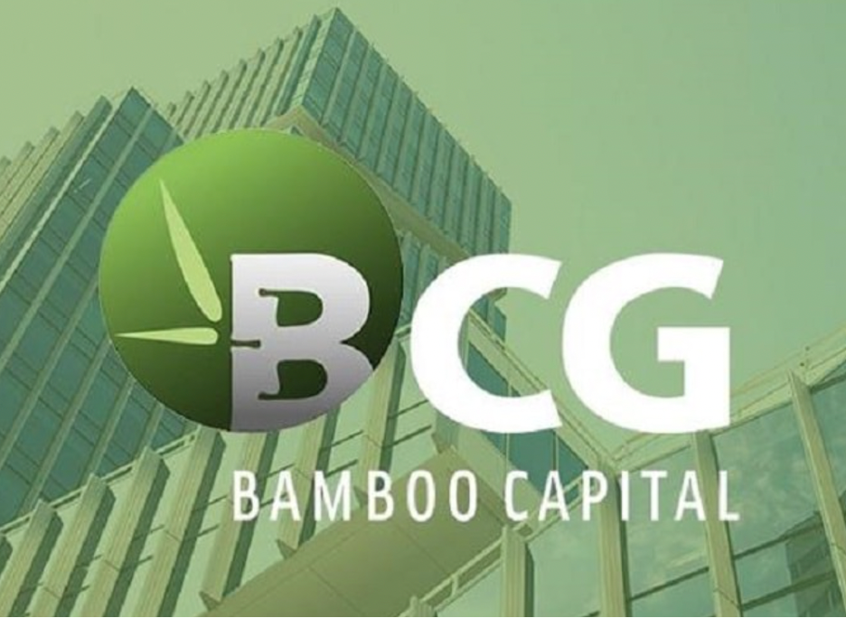 Bamboo Capital dự kiến miễn nhiệm hàng loạt lãnh đạo - Ảnh 1.