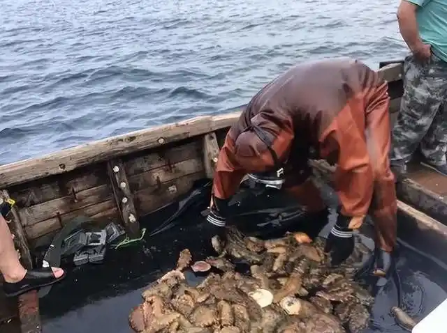 Bị chê cười vì ném 1,58 triệu tấn đá xuống biển trong 5 năm liên tiếp, người đàn ông kiếm được 185 tỷ đồng/năm nhờ “ngân hàng” dưới đại dương