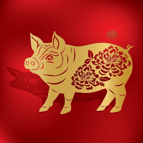 Tổng quan tử vi tuổi Hợi năm 2026- Ảnh 2.