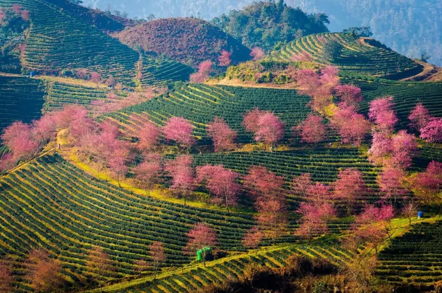 Thành viên Ecopark làm Khu đô thị sinh thái 2.400 tỷ đồng ở Sa Pa - Ảnh 1.