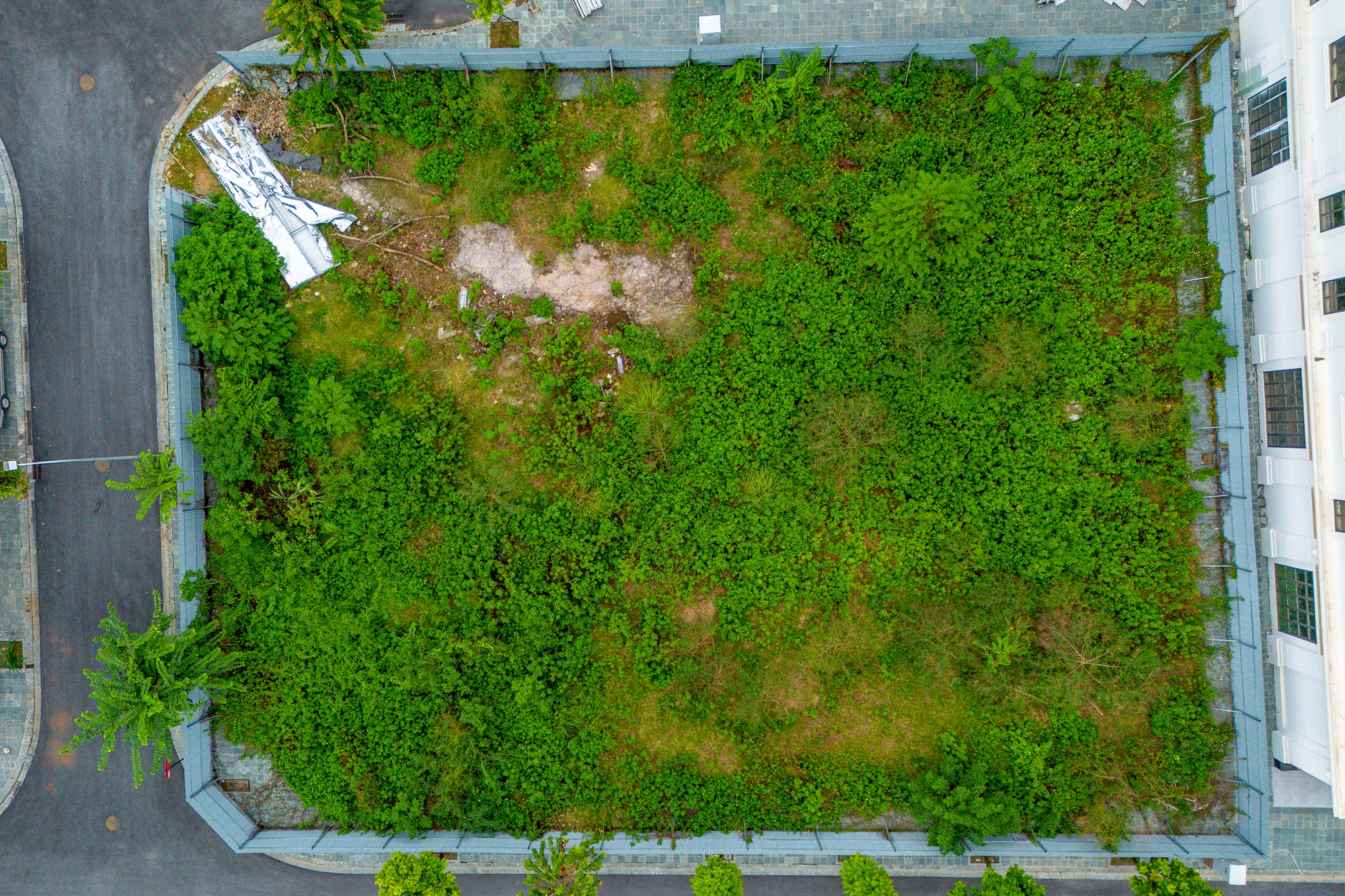 Cận cảnh dự án Cận cảnh dự án