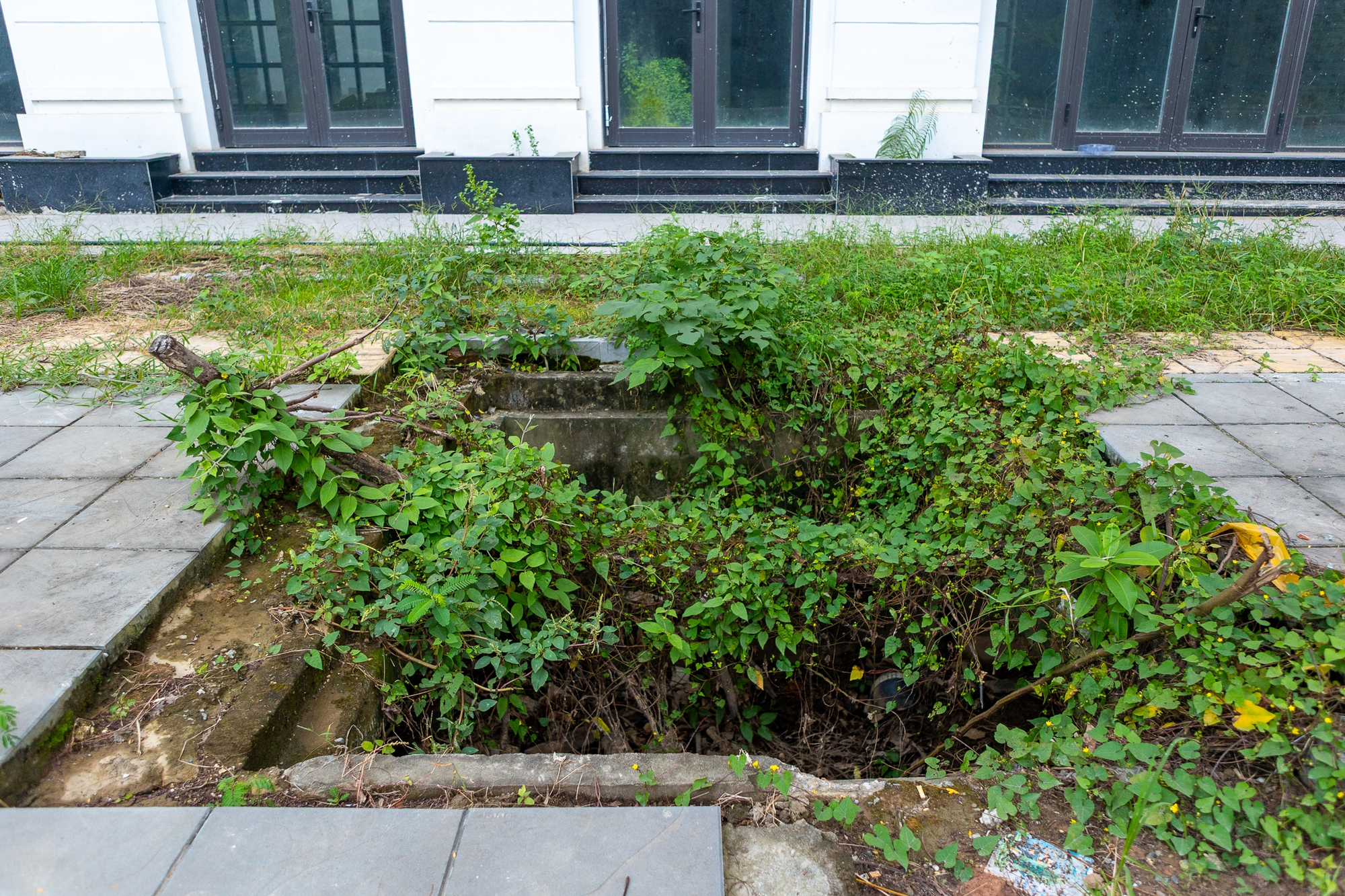 Cận cảnh dự án Cận cảnh dự án