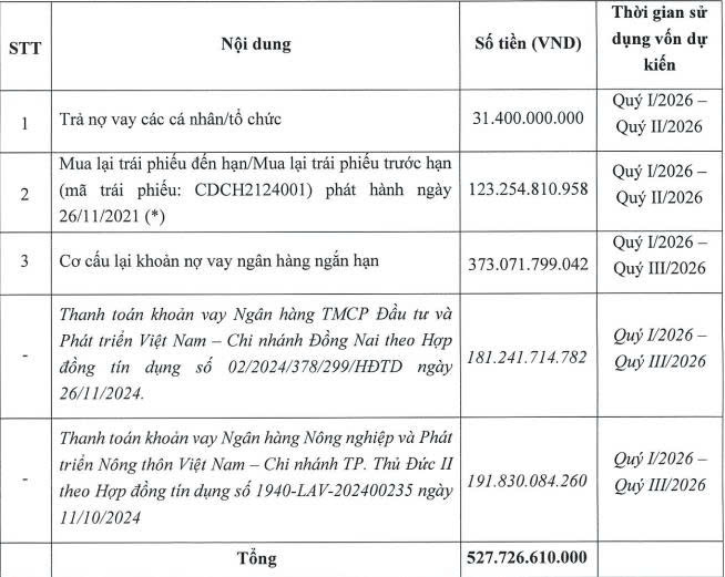 Chương Dương Corp dự kiến chào bán gần 53 triệu cổ phiếu để tăng gấp đôi vốn điều lệ - Ảnh 1.